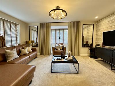Picture 8